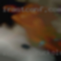 Looking cuckold Myers